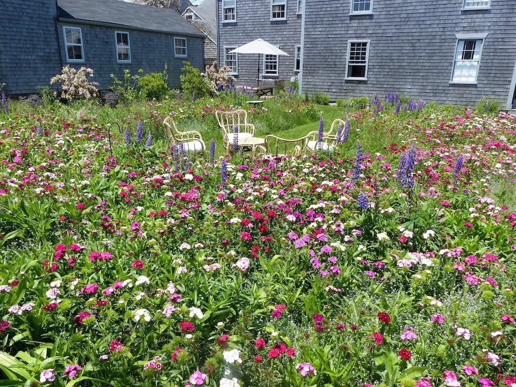 Garden, Nature, Outdoors