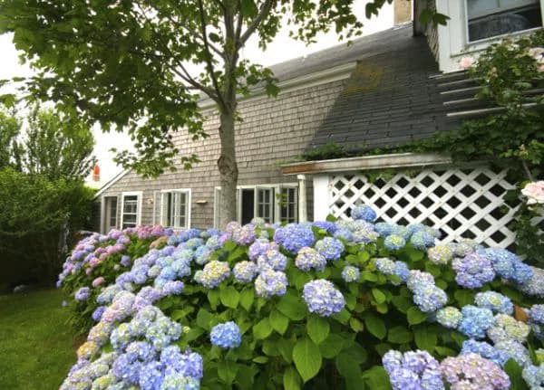 rental property in 2 Magnolia Avenue