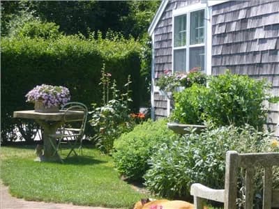 rental property in 29 Bank Street